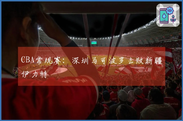 CBA常规赛：深圳马可波罗击败新疆伊力特